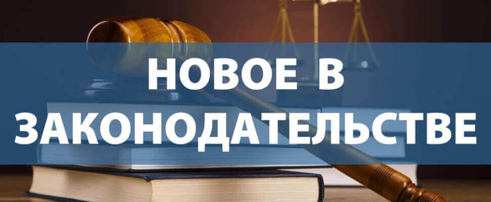 В Санкт-Петербурге внесены изменения в закон о зеленых насаждениях